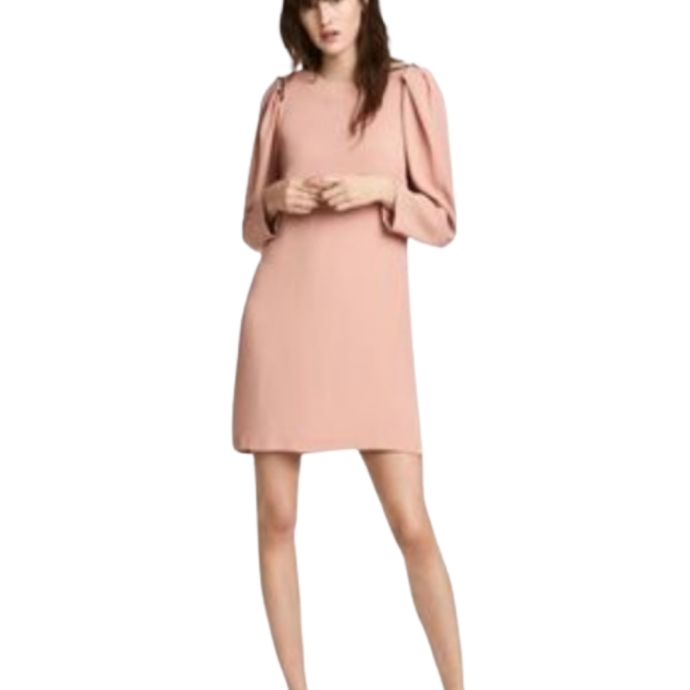 H&M Dusty Rose Long Sleeve Beaded Shoulder Mauve Shift Dress Size 4